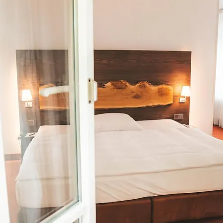 Parkhotel فندق 4*